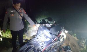 WhatsApp Image 2025-10-31 at 14.05.55