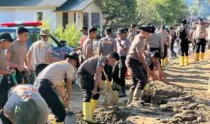 WhatsApp Image 2026-01-19 at 08.37.36 (1)