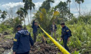 WhatsApp Image 2026-01-23 at 15.06.58