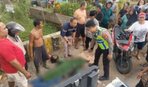 WhatsApp Image 2026-01-26 at 10.03.56 (1)