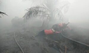 WhatsApp Image 2026-01-30 at 11.11.59